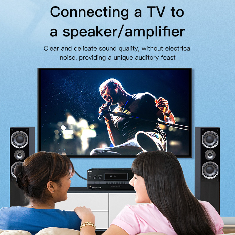 Кабель CHOSEAL RCA, цифровой к – обзор и цена Home Cinema Furniture